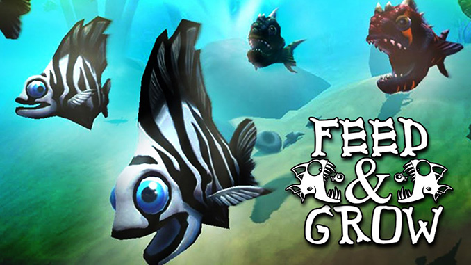 How to play feed and grow fish